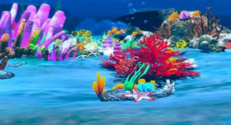 水母哪里游