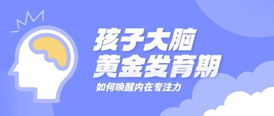 如何抓住孩子大脑黄金发育期，用科学训练唤醒内在专注力